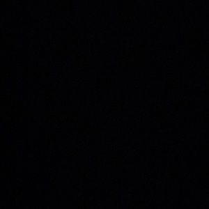 Meet your Posher, Max